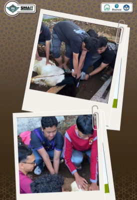 Tebar Qurban