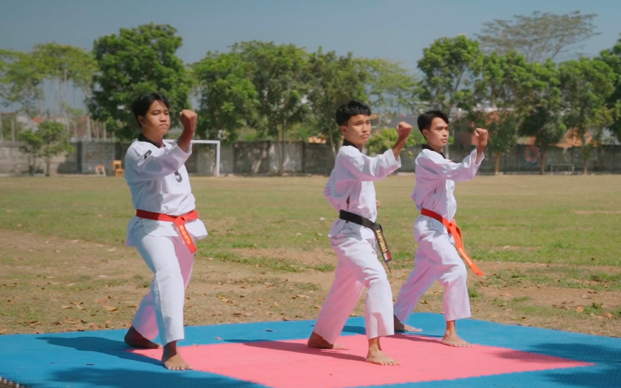 Taekwondo